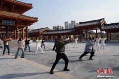 河南南阳：多国青年探访医圣祠 感知仲景文化“根魂神韵”